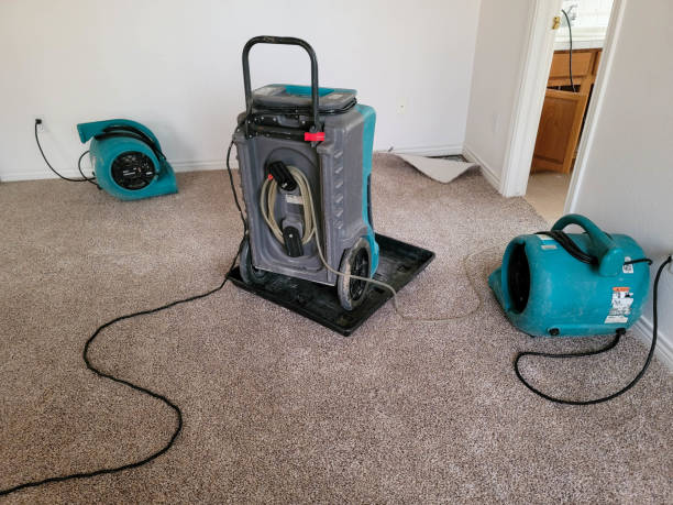 Best Fire Damage Restoration  in Duboistown, PA