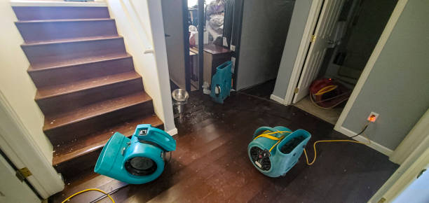 Best Ceiling water damage repair  in Duboistown, PA