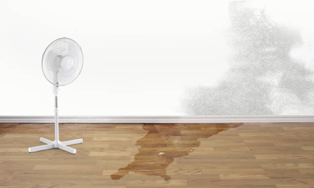 Best Residential water damage restoration  in Duboistown, PA