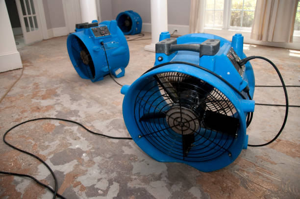 Best Mold removal after water damage  in Duboistown, PA