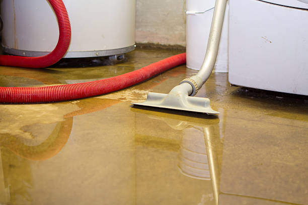 Best Professional water damage repair  in Duboistown, PA