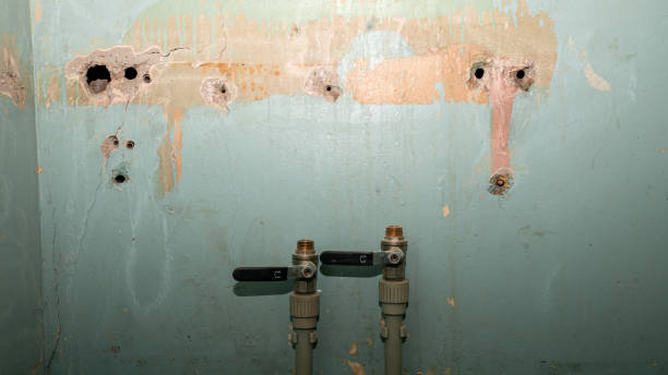 Best Carpet water damage restoration  in Duboistown, PA
